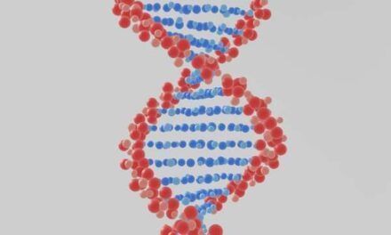 ¿Qué determina el tamaño de los genomas de las especies?