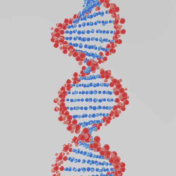 ¿Qué determina el tamaño de los genomas de las especies?