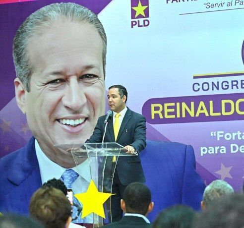 El PLD expresa su preocupación por candidaturas independientes aprobadas por el TC