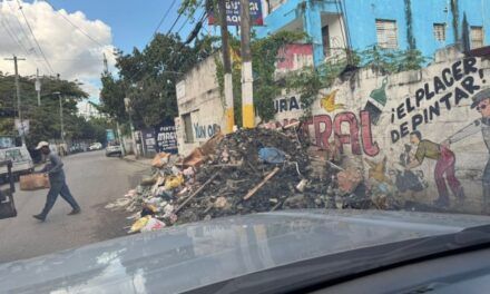 ASDN apresa camionero por vertido de basura en la vía