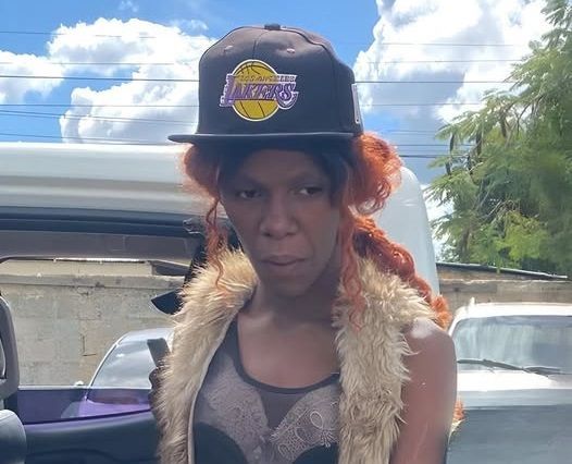 Dicrim de Hato Mayor apresa mujer acusada de matar un hombre en Bávaro