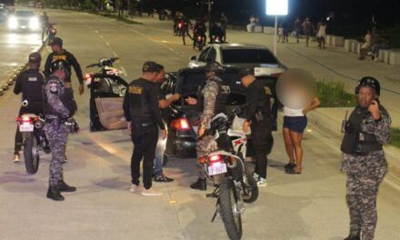 Diez personas, incluyendo una mujer, detenidas por la DICRIM por la comisión de distintos delitos
