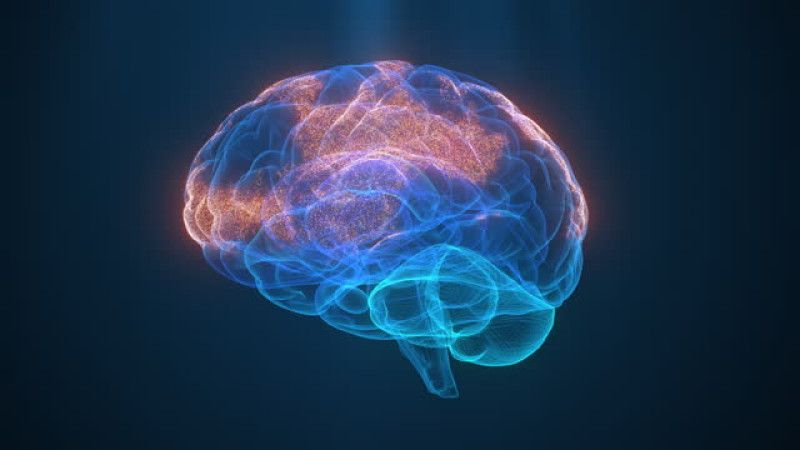 Traumatismos cerebrales pueden activar virus latentes, propiciando la neurodegeneración
