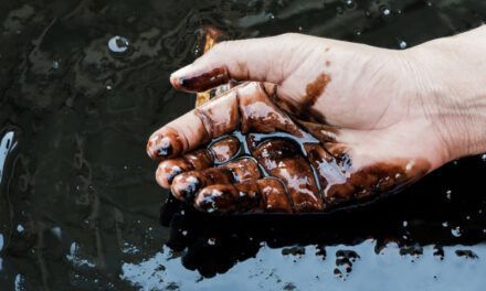 Sigue el repunte en los precios del petróleo