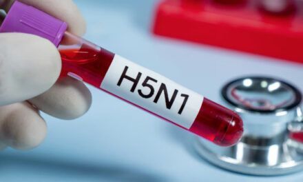 OMS alerta del mayor número de casos humanos de gripe aviar H5 desde 2015