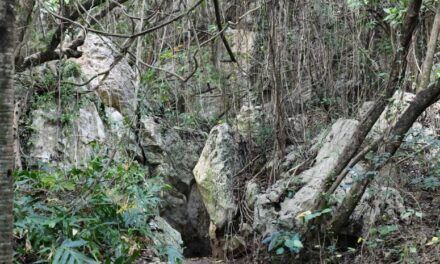 Medio Ambiente comprueba daños en las Cuevas del Pomier