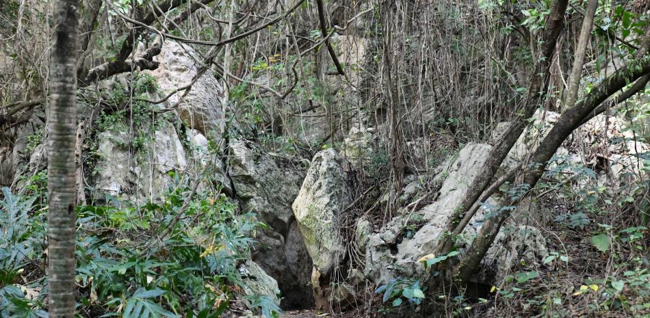 Medio Ambiente comprueba daños en las Cuevas del Pomier
