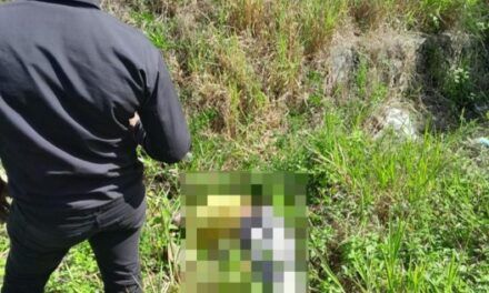 Encuentran cadáver atado de manos y con un tiro en la cabeza en la autovía del Nordeste