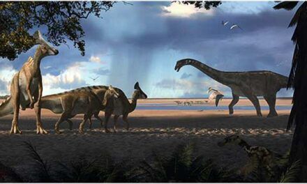¿Mar o montaña? ¿Qué preferían los dinosaurios de los Pirineos durante el Cretácico?