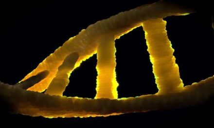 ADN sintético: La revolución de la biotecnología moderna