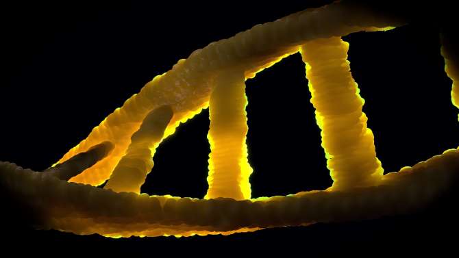 ADN sintético: La revolución de la biotecnología moderna