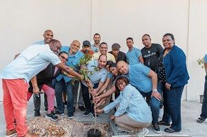 Alcaldía y regidores colaboran con estudiantes en proyecto de reforestación en Ensanche Luperón