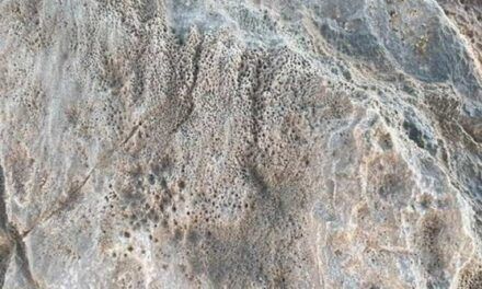 Microorganismos misteriosos dentro de mármol