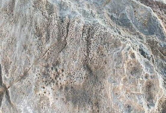 Microorganismos misteriosos dentro de mármol