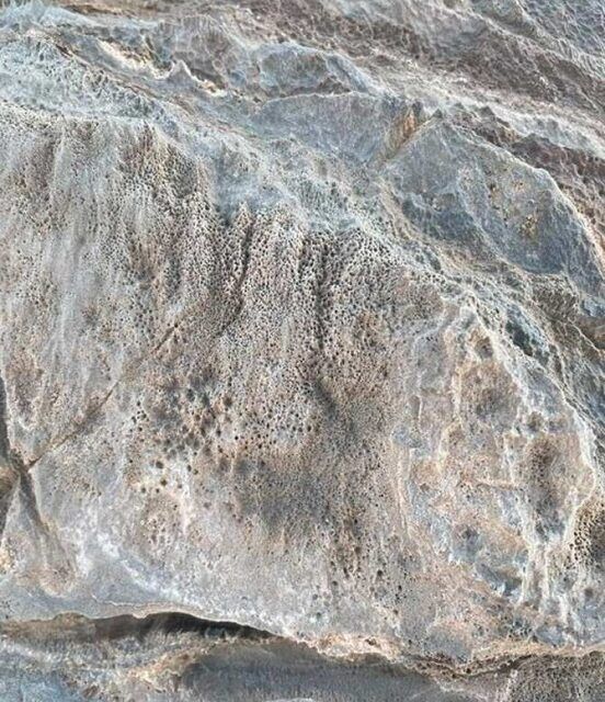 Microorganismos misteriosos dentro de mármol