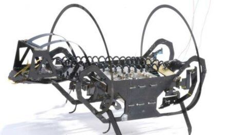 Nuevo robot insectoide capaz de dar saltos de hasta 23 veces su longitud corporal