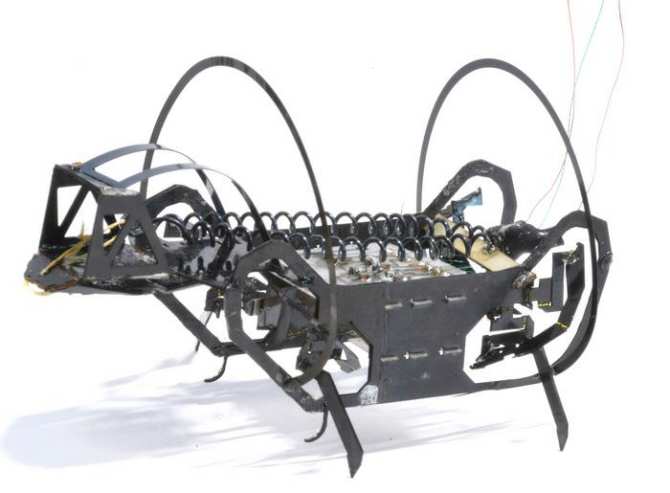 Nuevo robot insectoide capaz de dar saltos de hasta 23 veces su longitud corporal