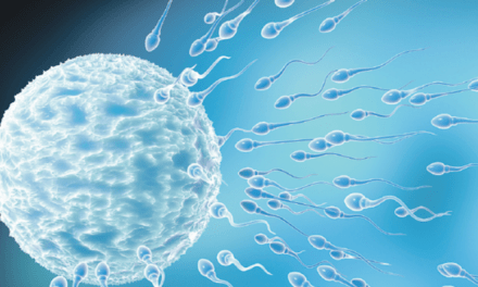 Una mejor calidad del semen se relaciona con una mayor longevidad masculina