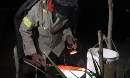 La pesca de anguilas, el jugoso negocio que cambió la vida de los pueblos costeros del este