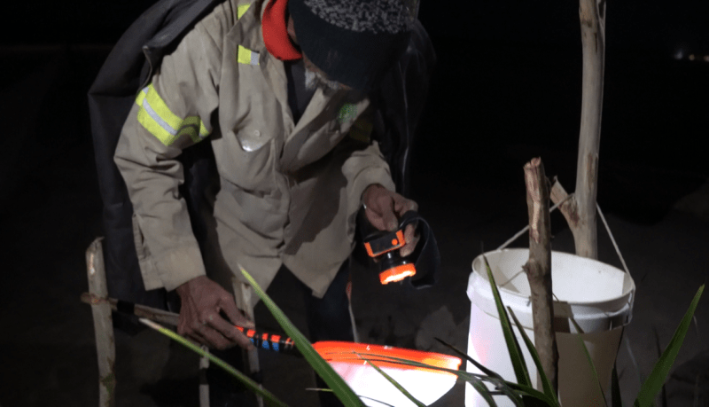 La pesca de anguilas, el jugoso negocio que cambió la vida de los pueblos costeros del este
