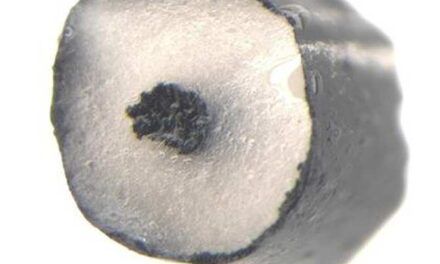 Músculos artificiales creados mediante impresión 3D