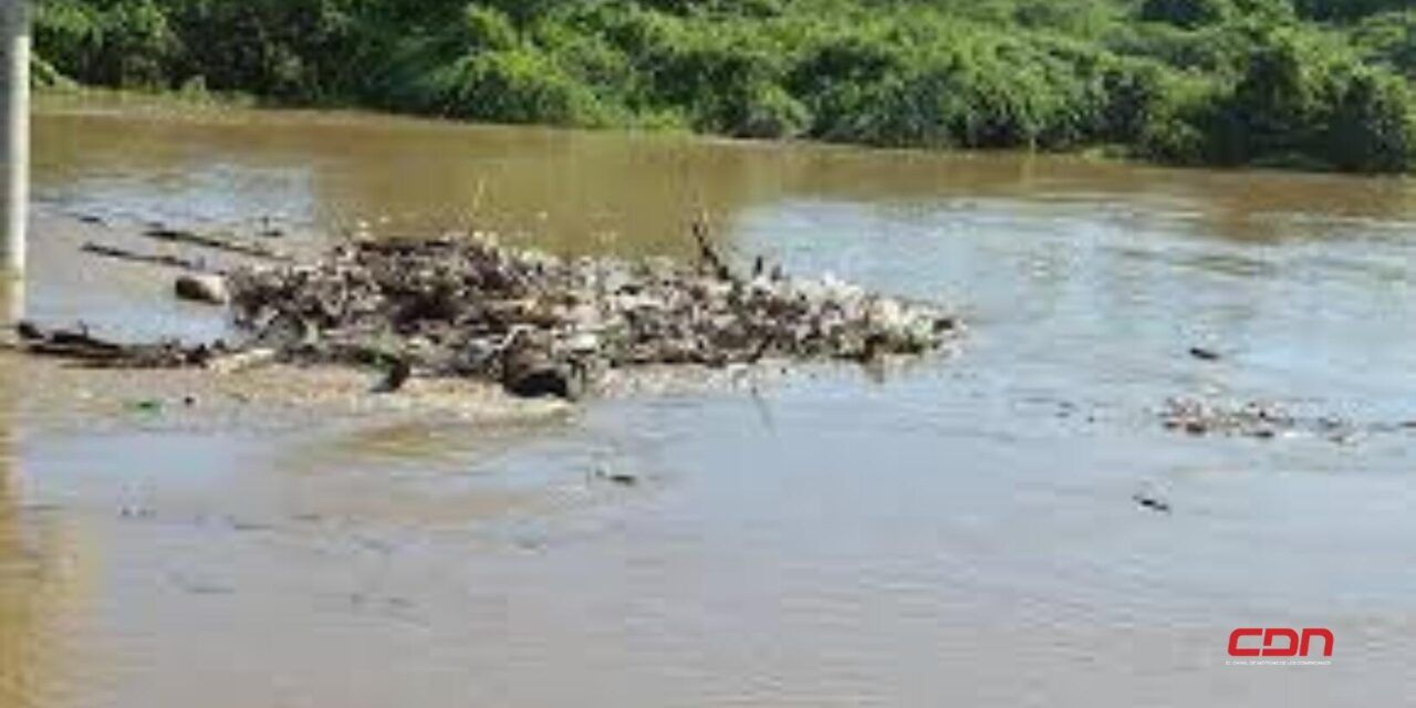 Rescate del río Yaque del Norte: ¿Cuál es su situación?