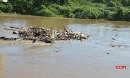 Rescate del río Yaque del Norte: ¿Cuál es su situación?