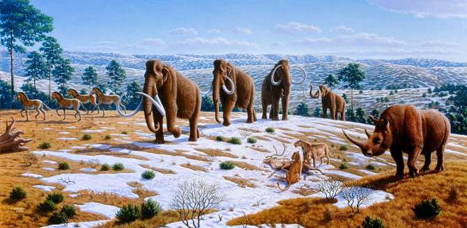 Megafauna y el ser humano primitivo: Una convivencia que cambió la historia