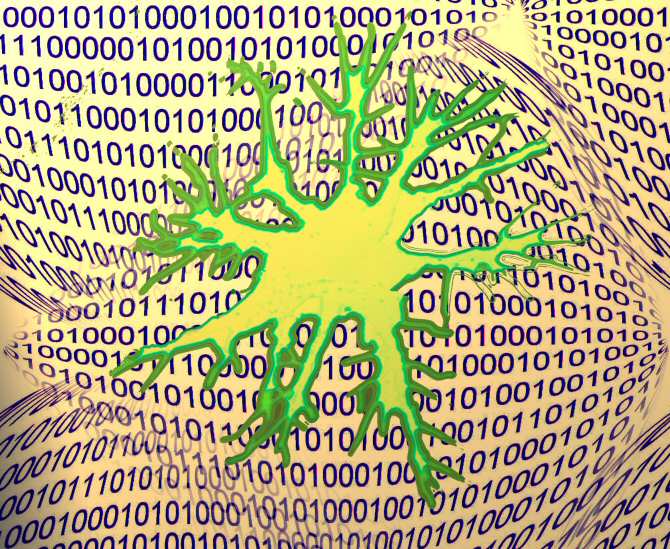 Descubren la influencia del uso cotidiano de tecnología digital sobre el ritmo de declive cognitivo al envejecer