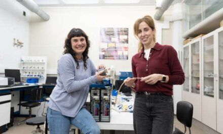 Almacenamiento limpio y barato de energía a partir de biomasa de pino