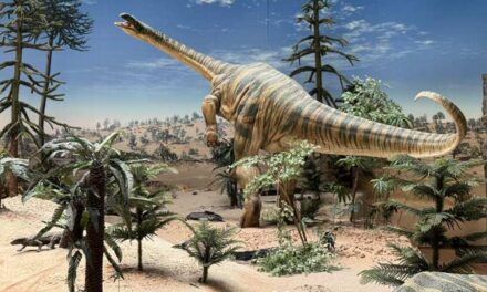 Reconstrucción detallada de la fauna de tetrápodos terrestres del Triásico en Centroeuropa