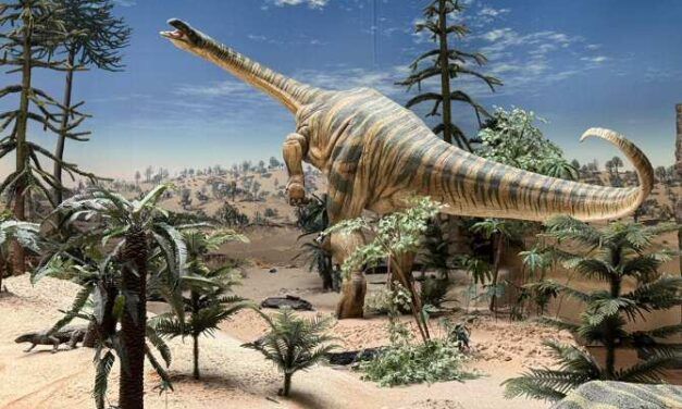 Reconstrucción detallada de la fauna de tetrápodos terrestres del Triásico en Centroeuropa
