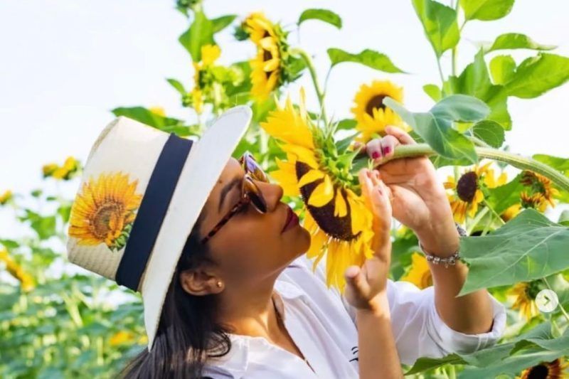 Salud Pública recomienda medidas para prevenir alergias con llegada de la primavera