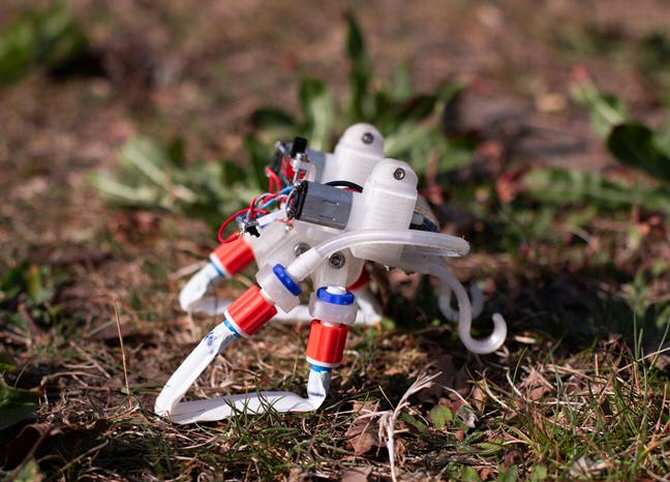 Crean un singular robot andante que no necesita ordenador ni tan siquiera electrónica
