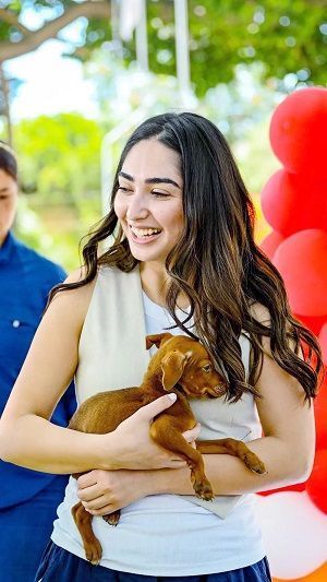 Alcaldía realiza tercera feria de adopción perros