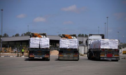 Ayer llegaron a Gaza los primeros camiones con ayuda