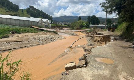 Lluvias causan estragos en predios de Tireo y Constanza