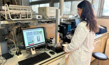 Identificar avellanas rancias sin sacarlas del embalaje