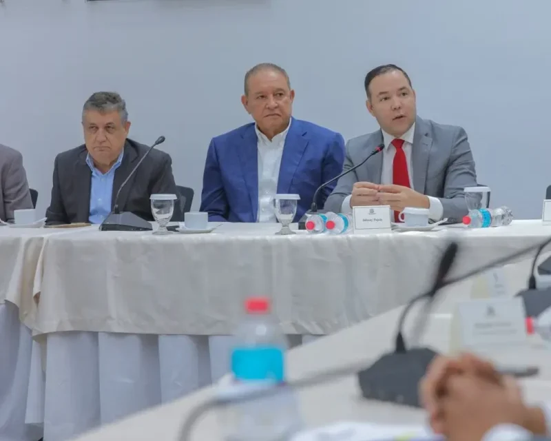 Partidos mayoritarios apoyan proyecto de ley sobre candidaturas independientes