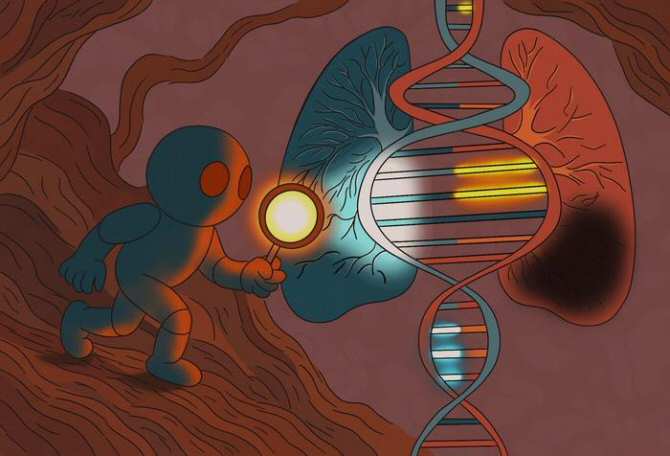 Inteligencia artificial identificando conjuntos de genes causantes de enfermedades complejas