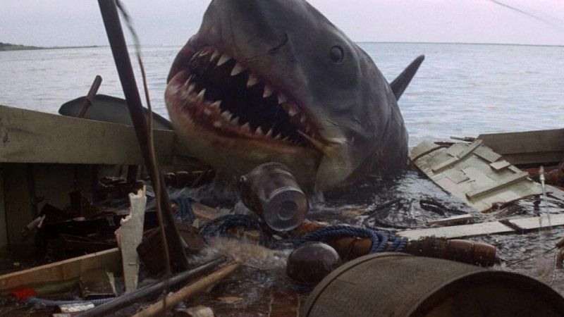 50 años de «Tiburón»: 20 cosas que (quizá) no sabías del clásico del cine que cambió Hollywood