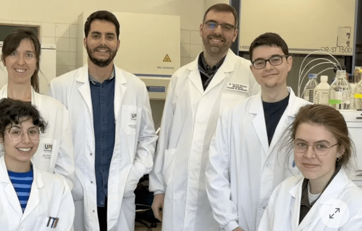 Identifican nueva fuente de antibióticos naturales dentro de las proteínas