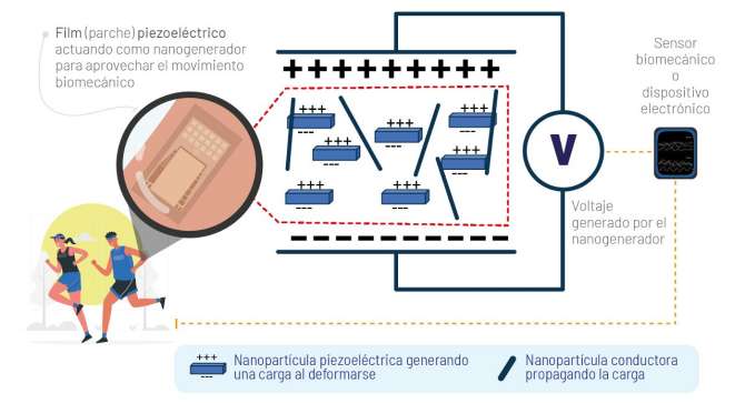 Nanogeneradores piezoeléctricos: Energía del futuro en cada movimiento