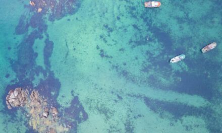 Fósiles de 7.000 años muestran cómo la pesca humana transforma los arrecifes del Caribe