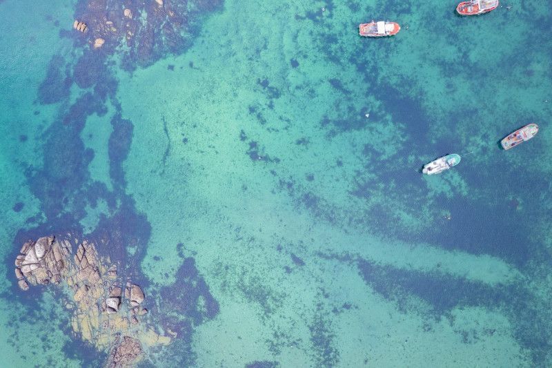 Fósiles de 7.000 años muestran cómo la pesca humana transforma los arrecifes del Caribe