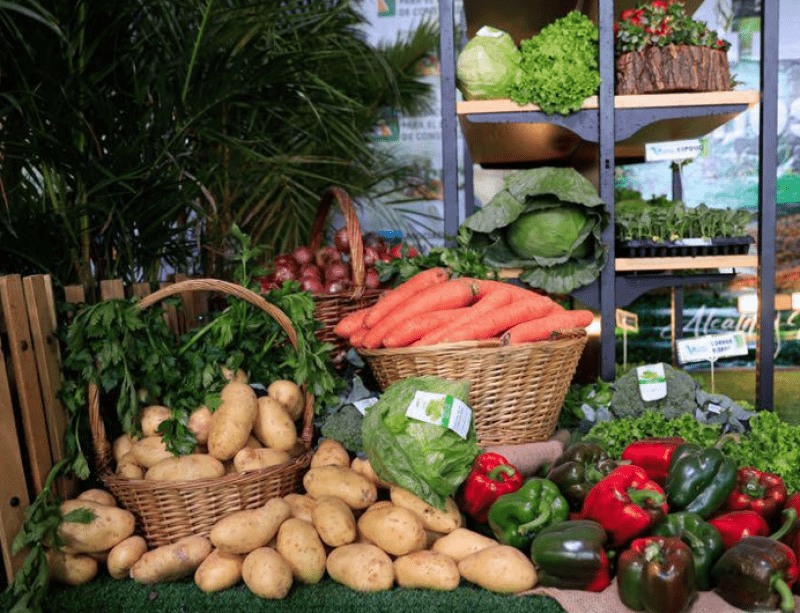 Festival de la Cosecha en Constanza regresa con la papa como producto insignia