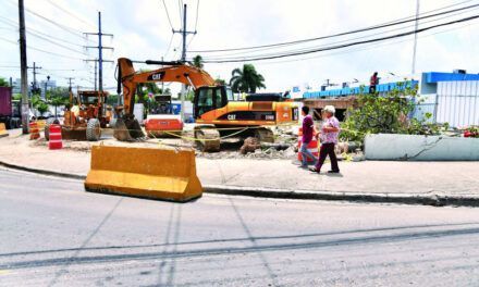 Trabajos de ampliación próximo al Jardín Botánico reducirán aceras de residenciales