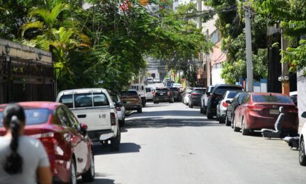 Chatarras abandonadas y vehículos mal estacionados ocupan calles de dos barrios en el DN