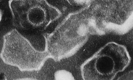 Virus indetectados: los huéspedes invisibles que habitan en nuestro cuerpo durante toda la vida