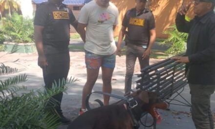 Policía Nacional arresta hombre acusado de lanzar dos perros desde el piso 11 de una torre residencial en el Distrito Nacional
